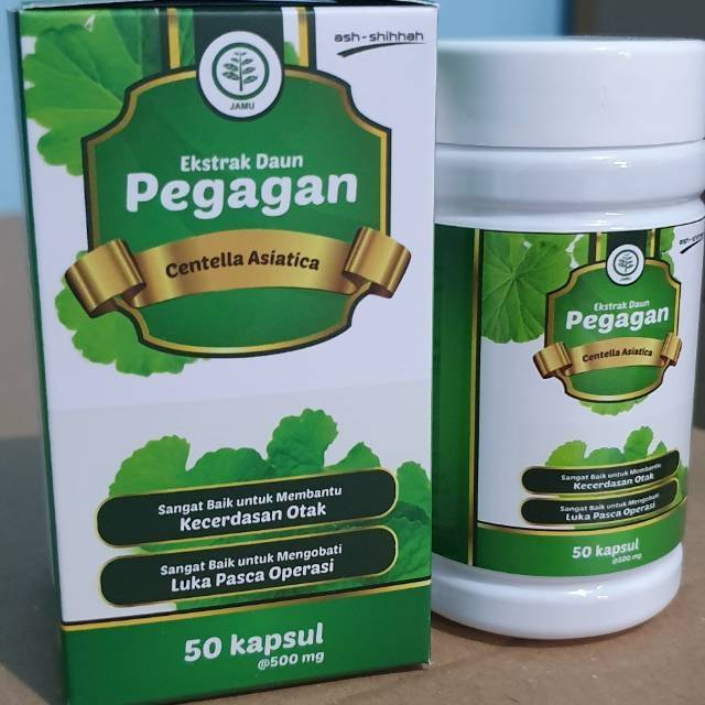 Ekstrak Pegagan 50 Kapsul Original Ash-Shihhah