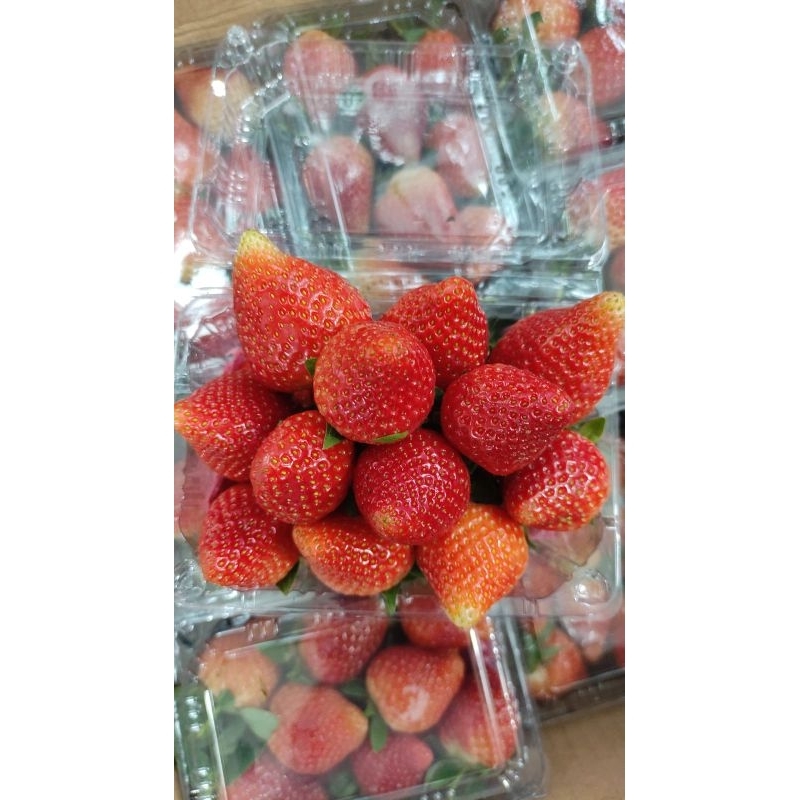 

strawberry lokal isi 250gr