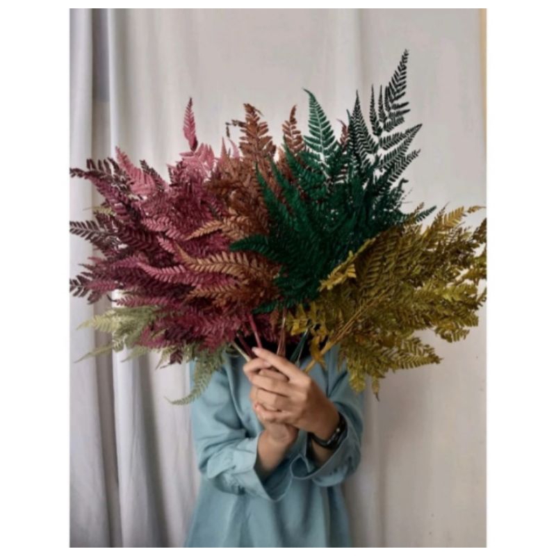 Daun Pakis Kering Untuk Hiasan Cake Rustic,Topper  Daun Pakis Kering