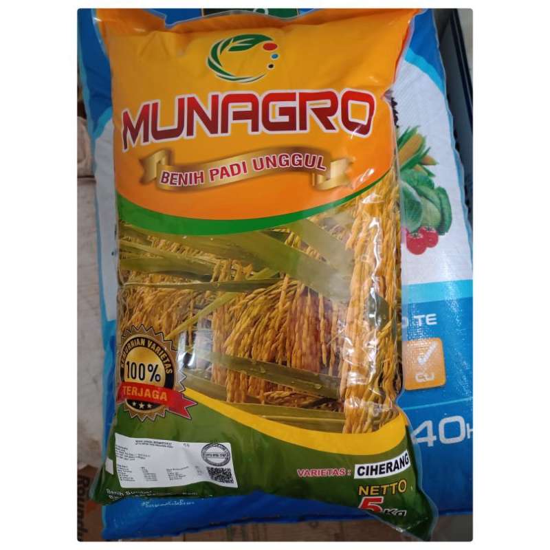 Benih Padi Ciherang Label Putih Munagro 5Kg