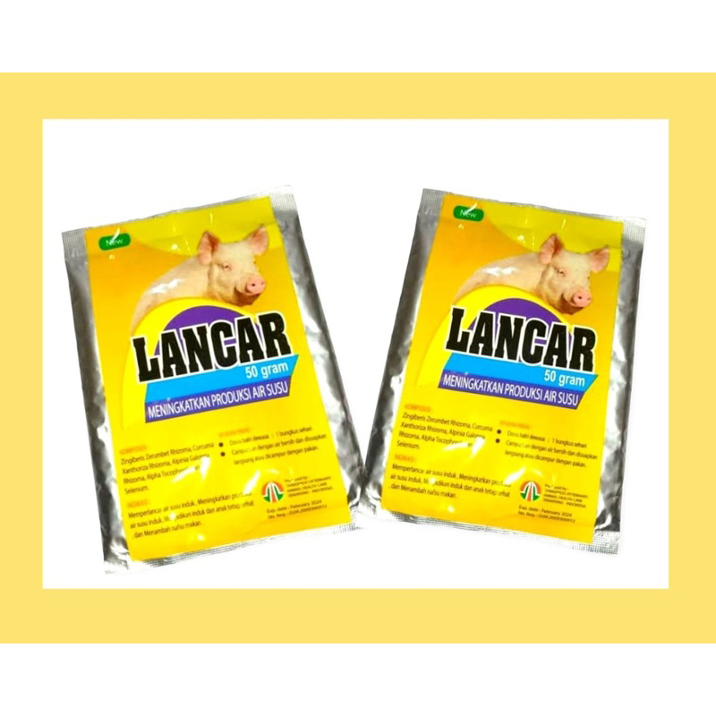 LancarBabi  jamu meningkatkan produksi air susu induk babi