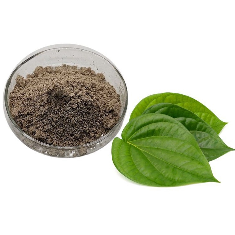 

Serbuk Daun Sirih Hijau 50 g Simplisia Bubuk Suruh Piper betle