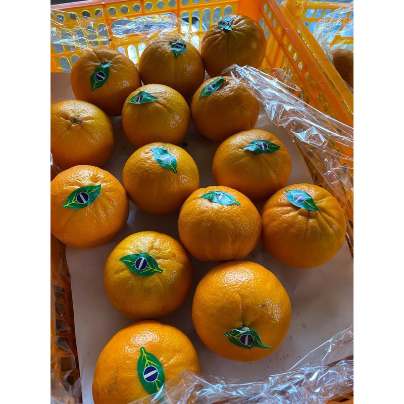 

JERUK WOKAM 500gr