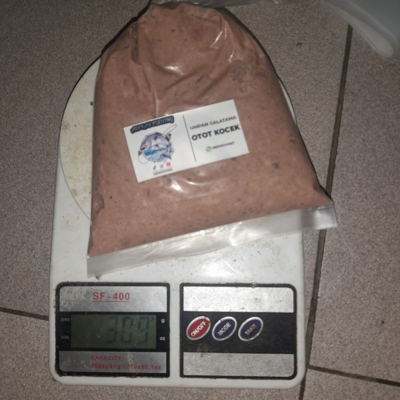 umpan galatama lele otot kocek