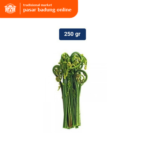 

Daun Pakis 250 gram