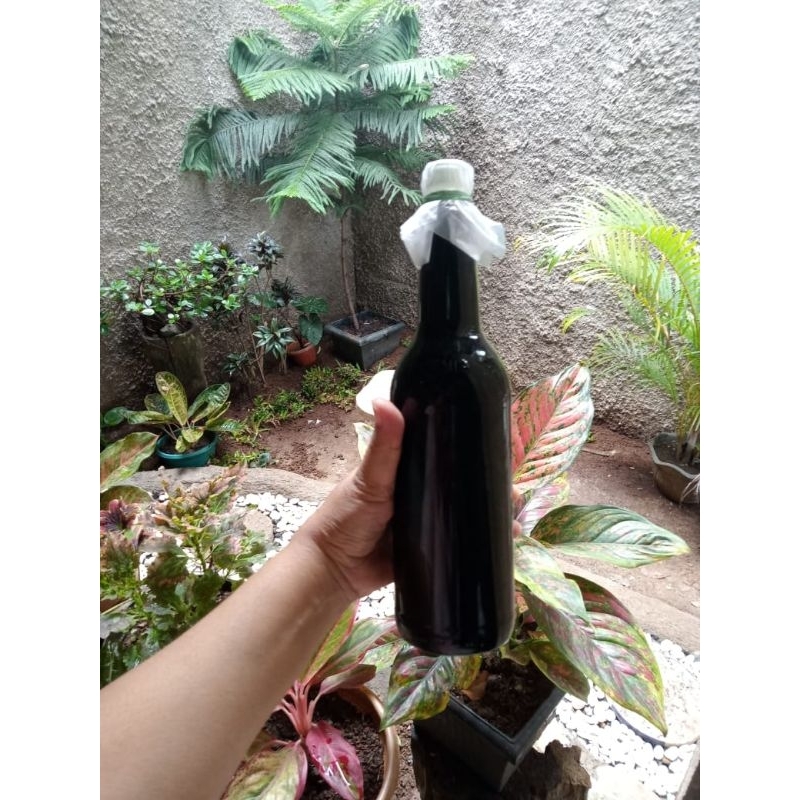 

Madu Hitam Pahit dan Manis Tawon Bagong