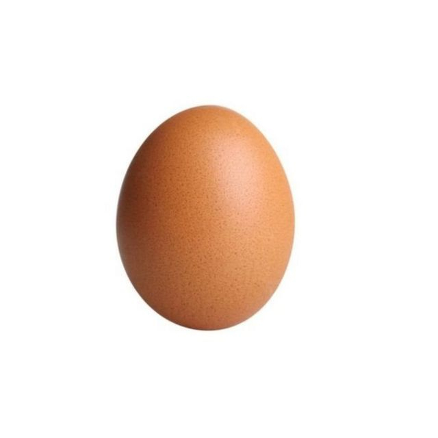 

Telur hemat per butir