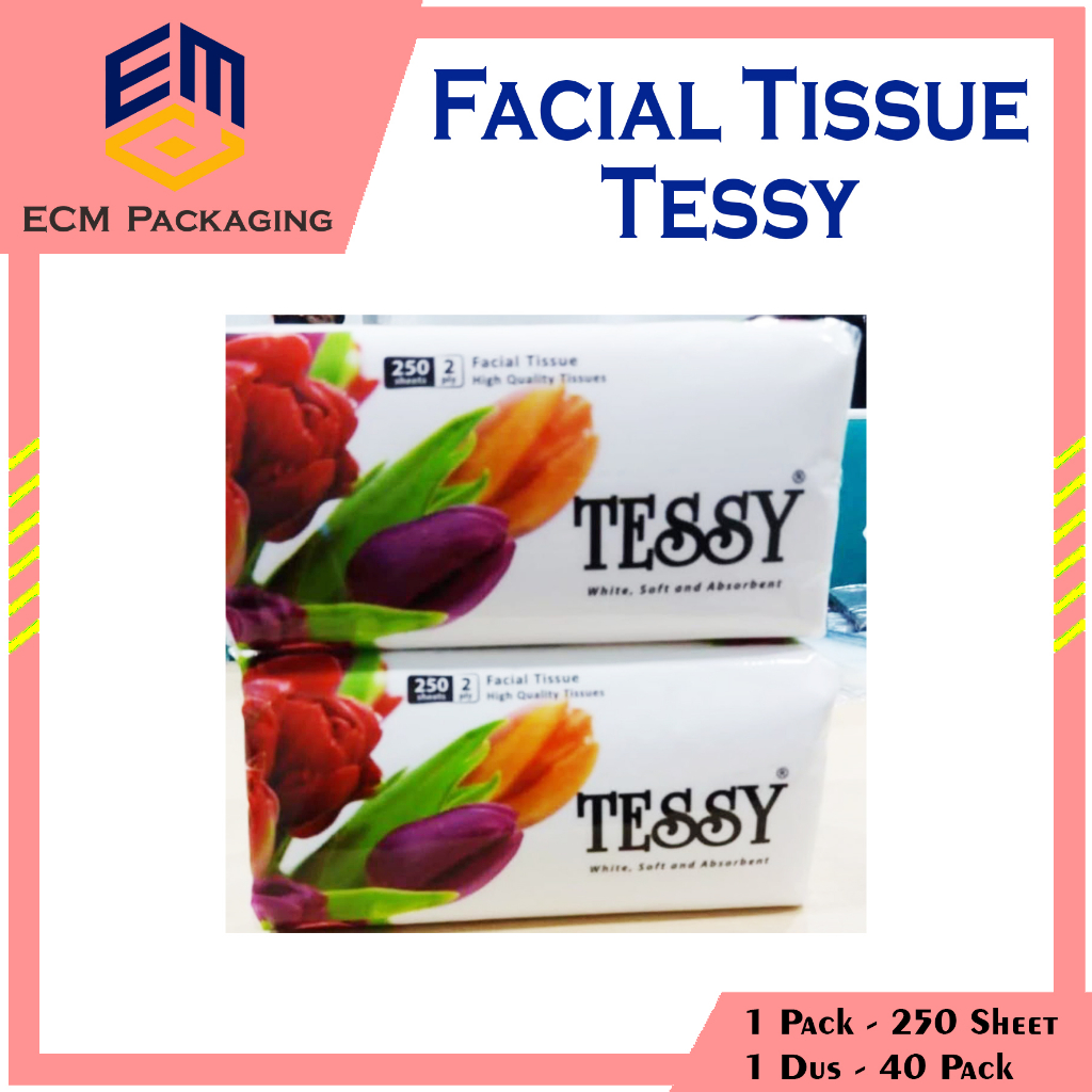 Facial Tissue Tessy 250 sheet 2ply