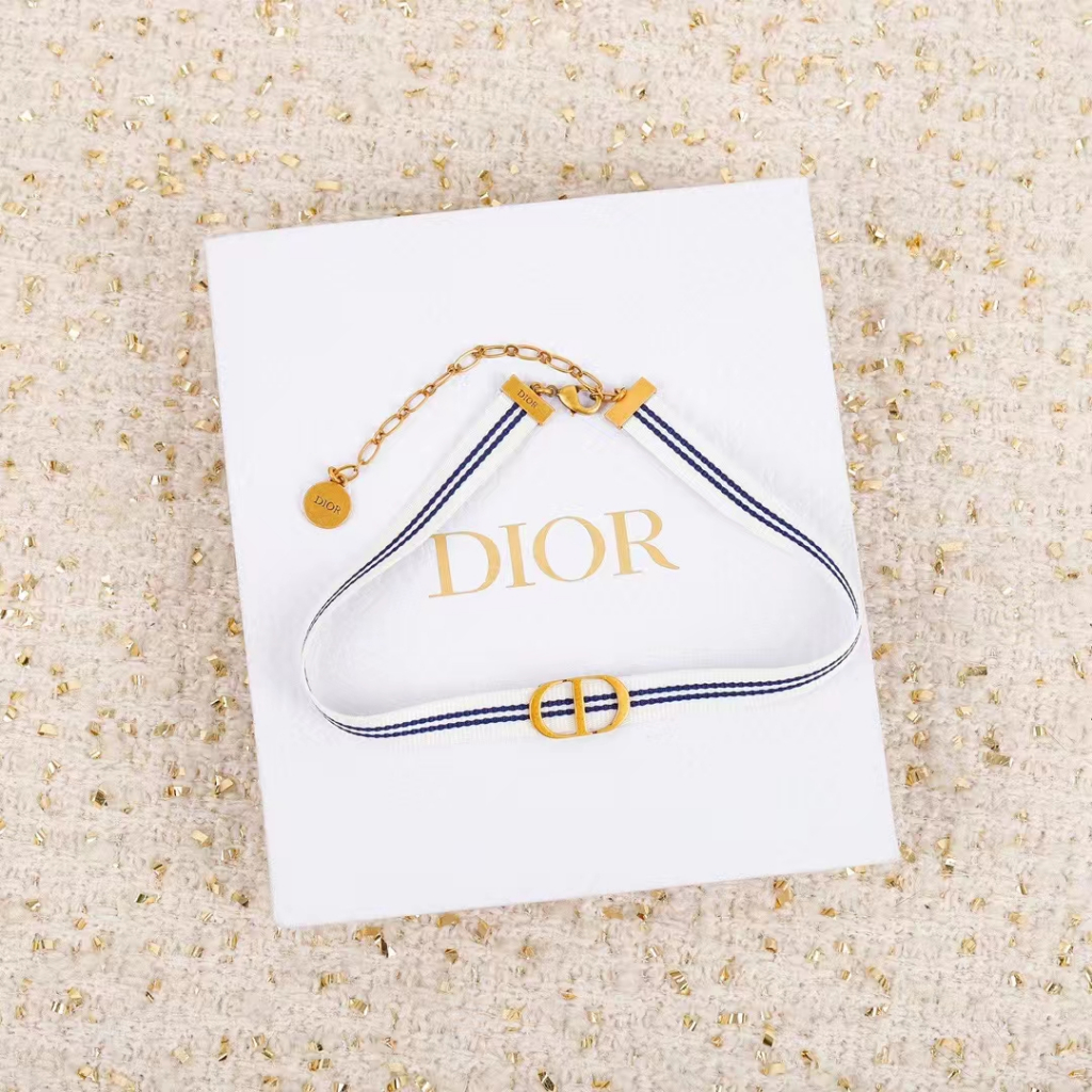 Dior Neckchain Choker Necklace