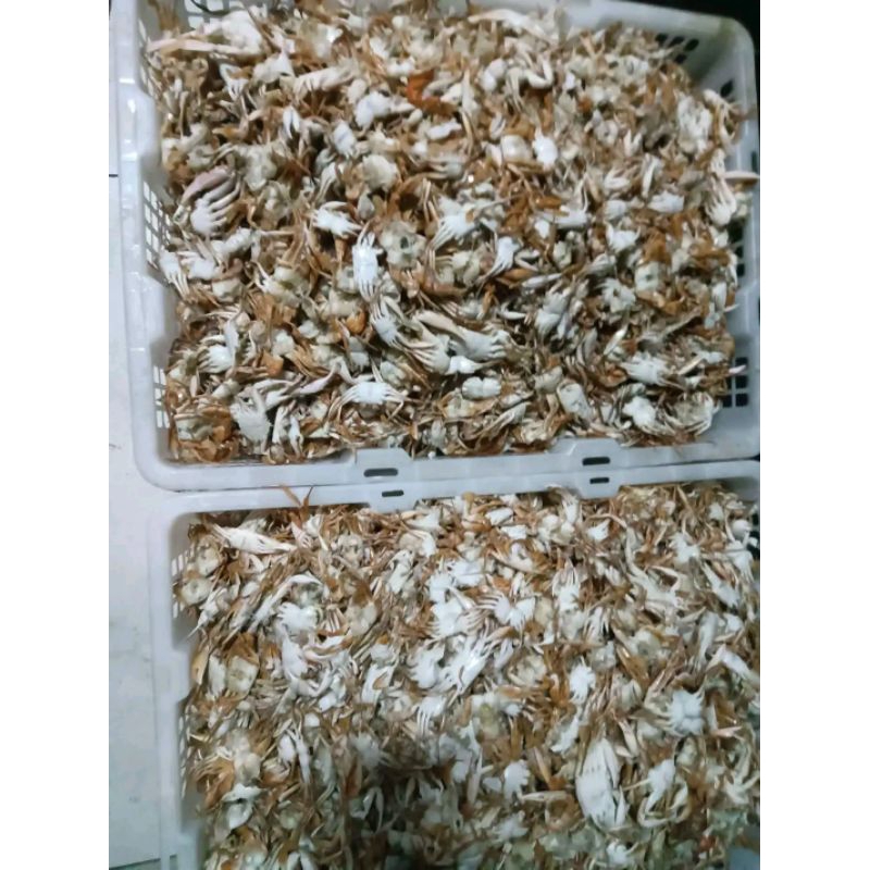 

baby crab crispy gurih || kepiting crispy || kepiting bayi mentah 1kg || baby crab mentah 1kg || bayi kepiting mentah 1kg || baby crab frees || baby crab Crab crispy