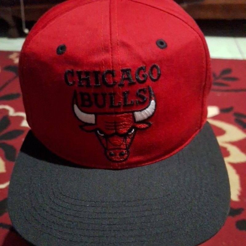 Topi Chicago bulls