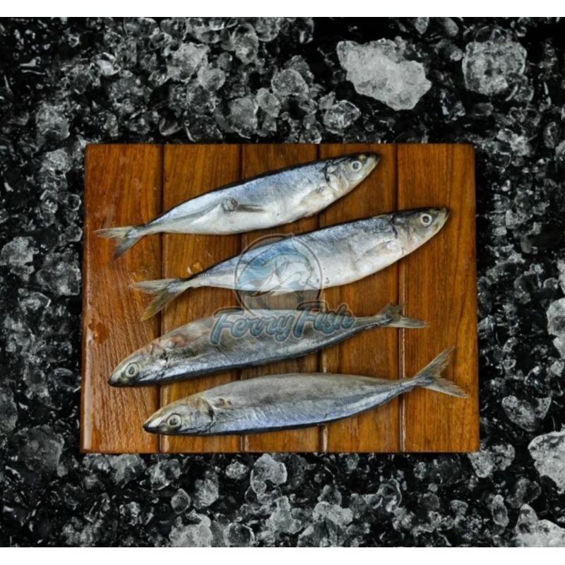 

Ikan Kembung Banjar 1kg