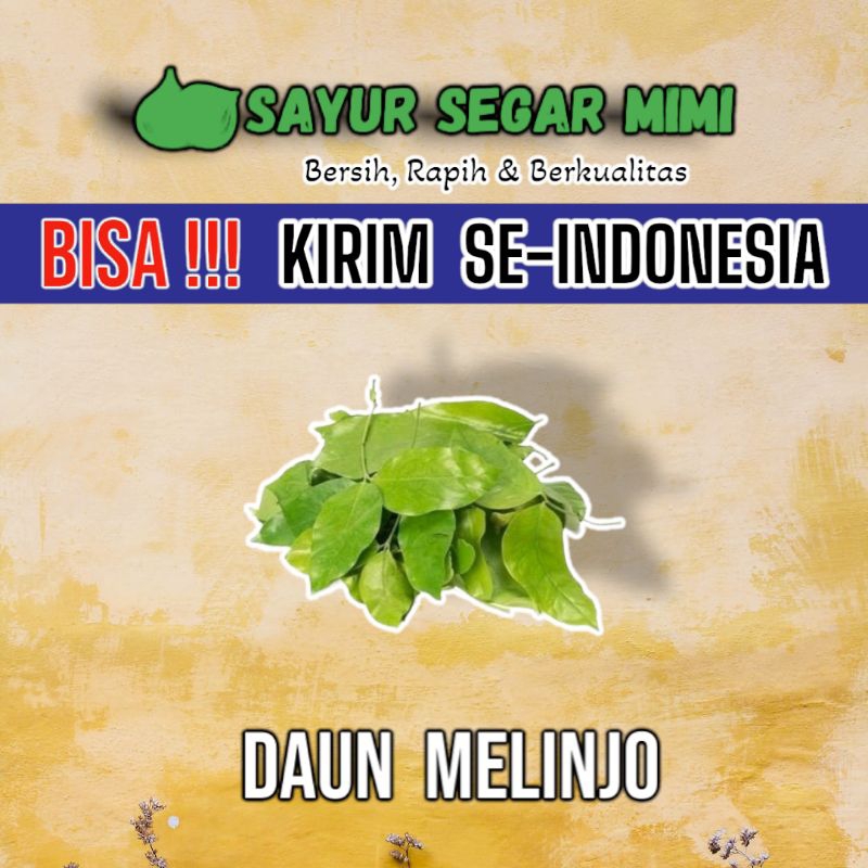 

Daun Melinjo/Daun Tangkil 100Gram - Sᴀʏᴜʀ Sᴇɢᴀʀ ♏ɪᴍɪ