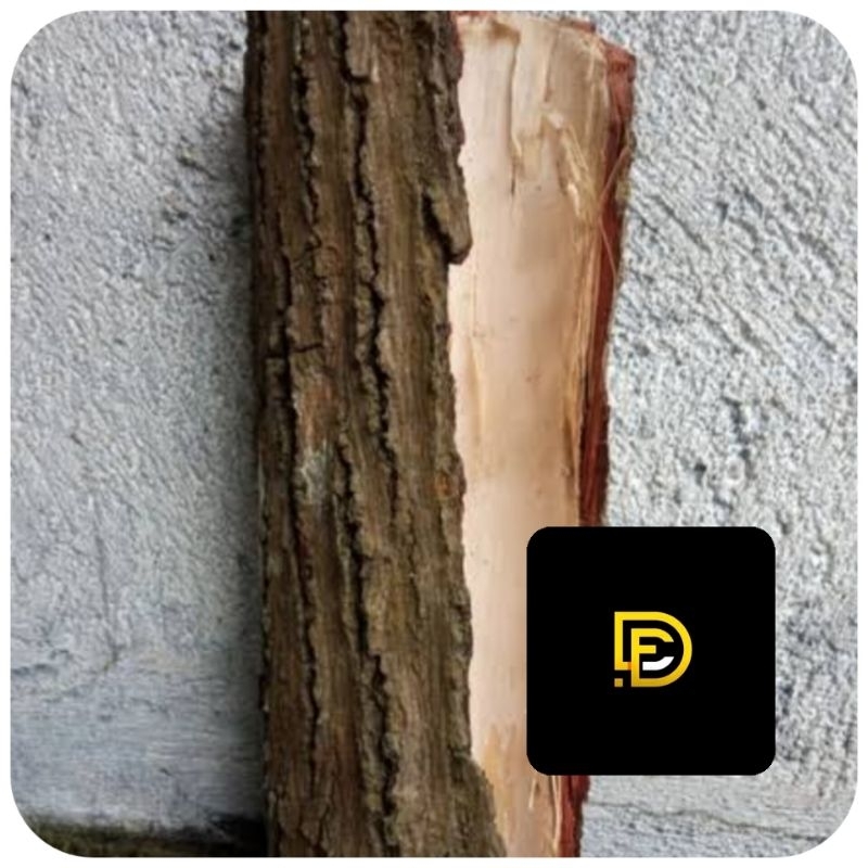 

Kulit pohon mindi segar 500 gram-az