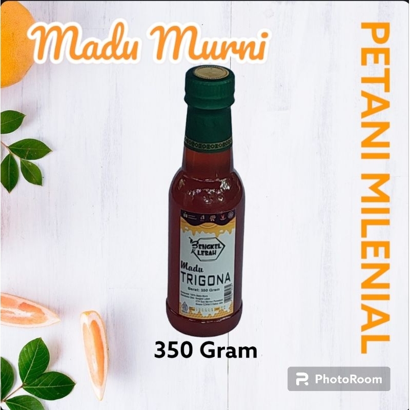 

Madu Trigona 350 Gram [8991986061630]