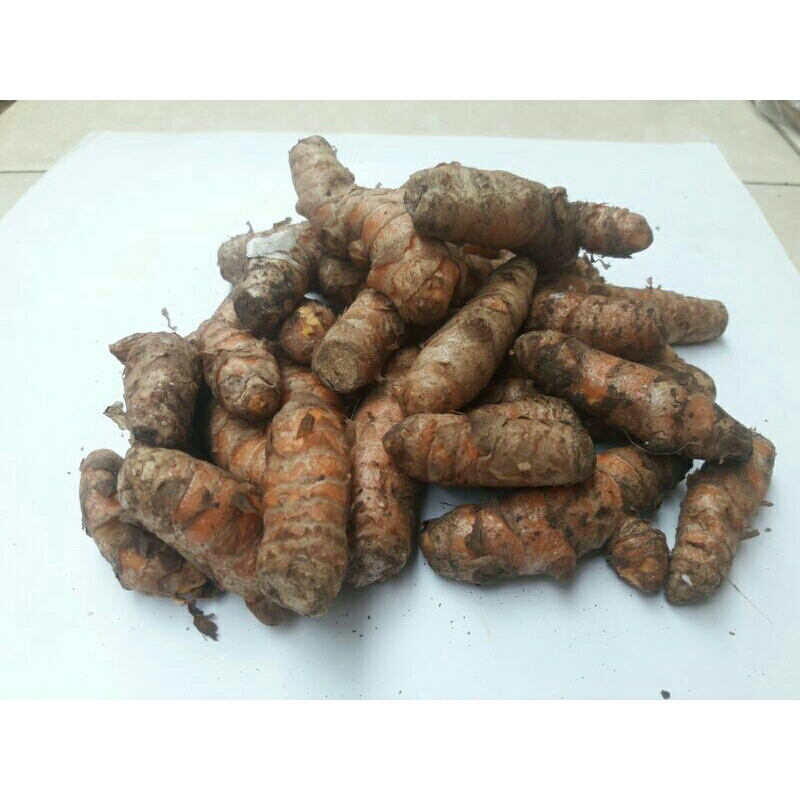 

Kunyit fresh stok selalu baru 500gram