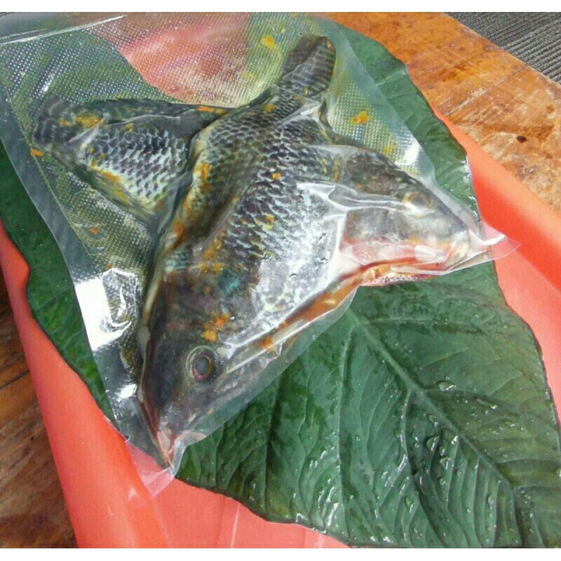 

Gareng Fish Mujaer