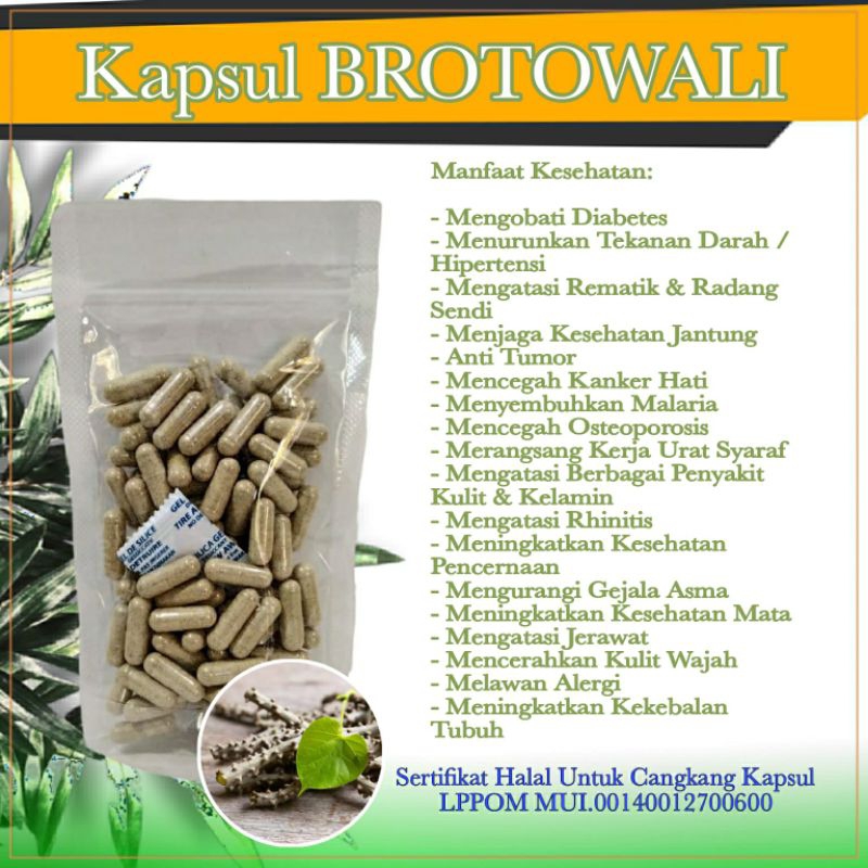 

Kapsul Brotowali Herbal isi 100 Kapsul