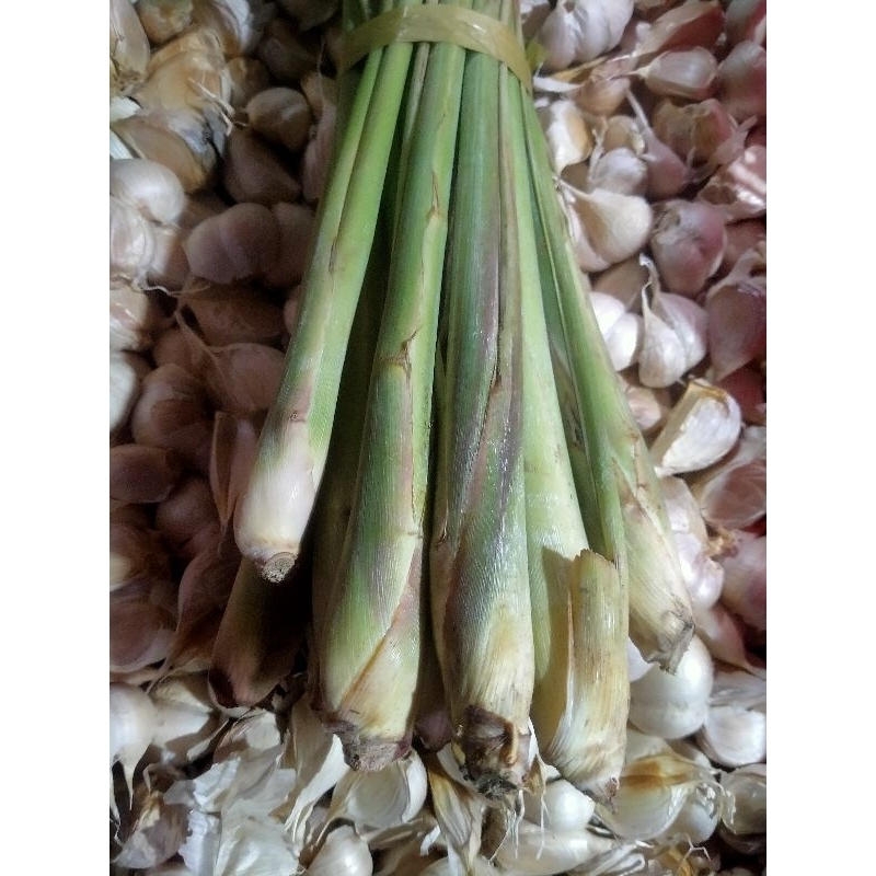 

Sereh super Bangkok dan segar 250/500/1kg.