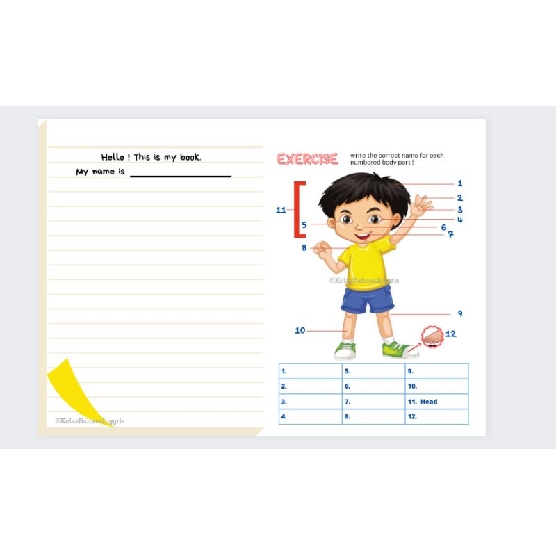 

Latihan Soal Bahasa Inggris-anggota tubuh