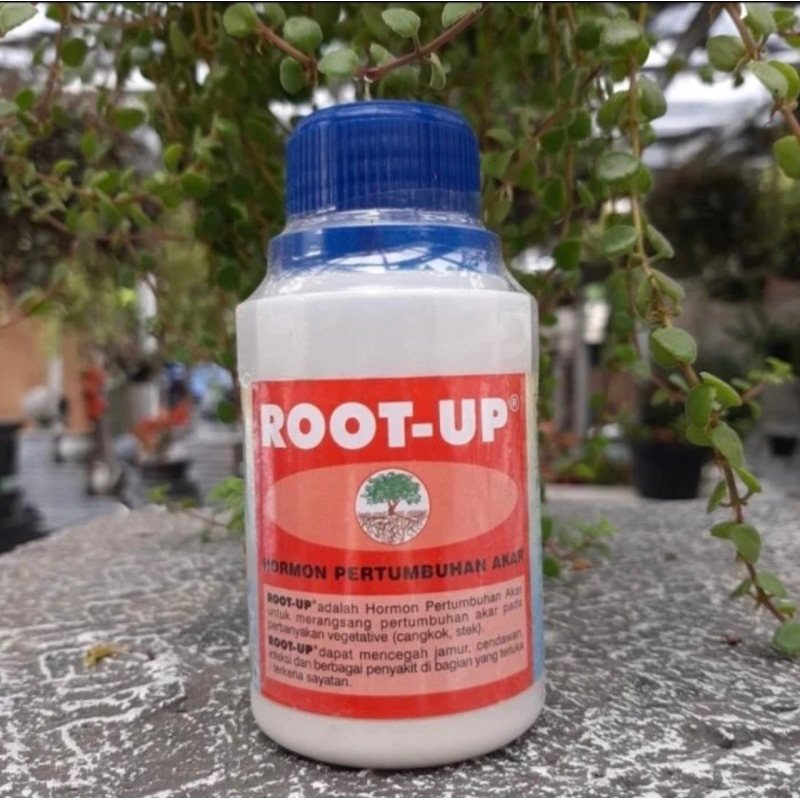 Rootup Root up hormon akar 100gr ZPT perangsang akar