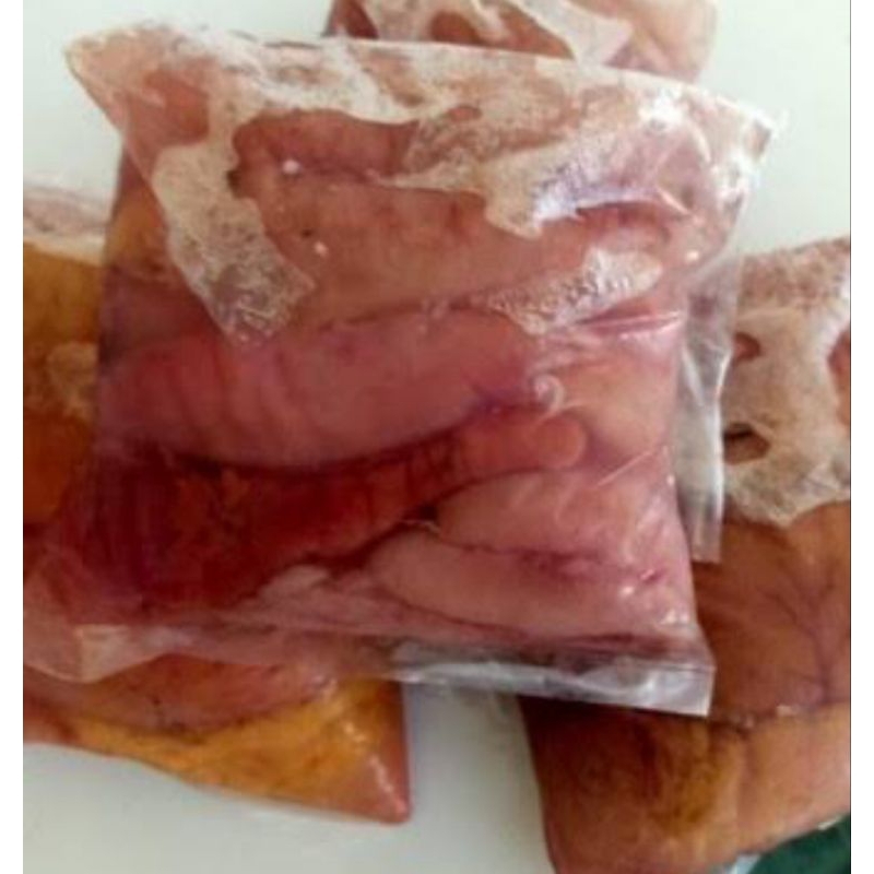 

Telor Ikan Kakap 500gr