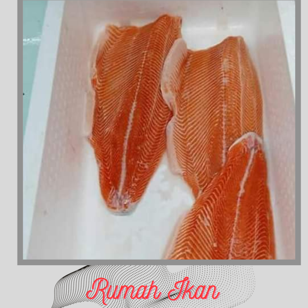

Daging Salmon Rumah Ikan Segar 500gram