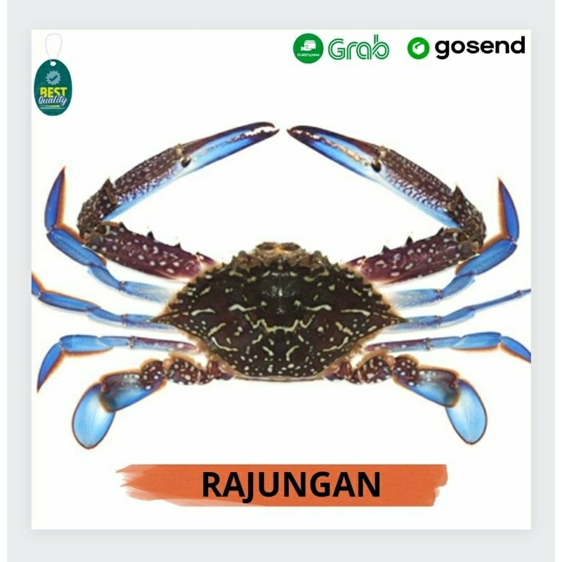 Rajungan Segar - 1000gr