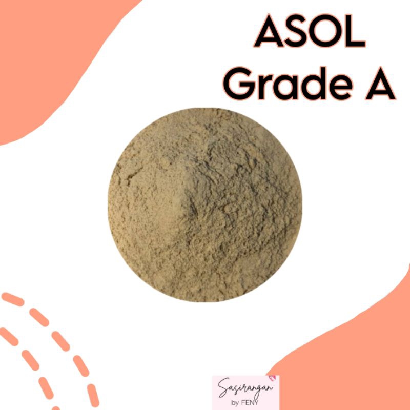 

ASOL | Pewarna Batik Sasirangan Celup | Napthol | 100gr