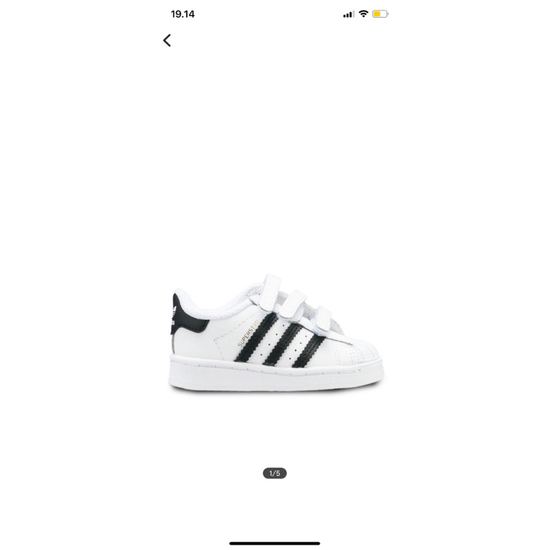 adidas superstar anak