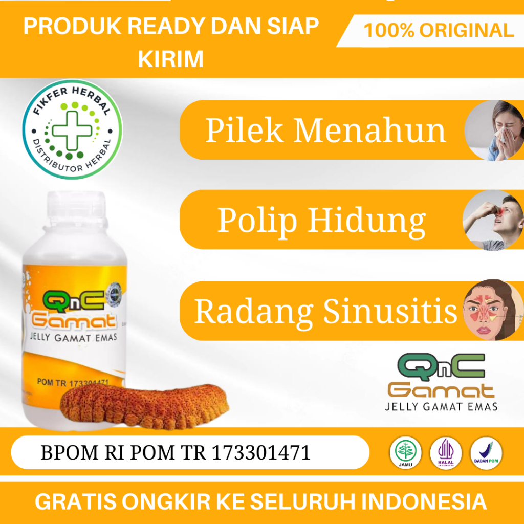 Obat Sinusitis, Pilek Menahun, Hidung Tersumbat, Infeksi Saluran Pernafasan, Hidung Meler, Polip Hid