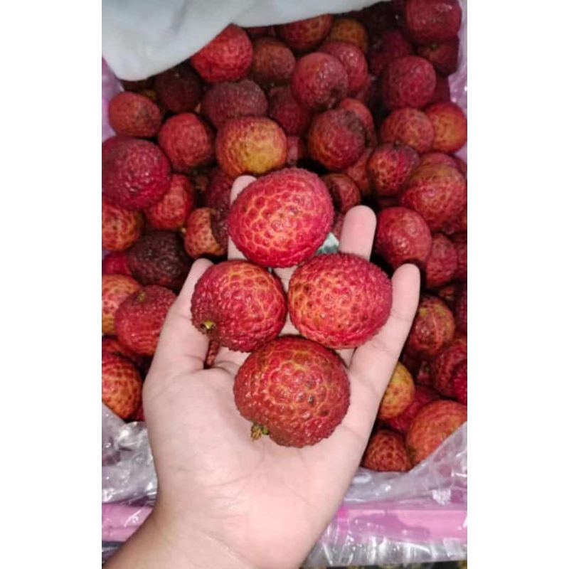 LECI HIJAU MADU & Leci merah , MANIS , DAGING TEBAL 1KG