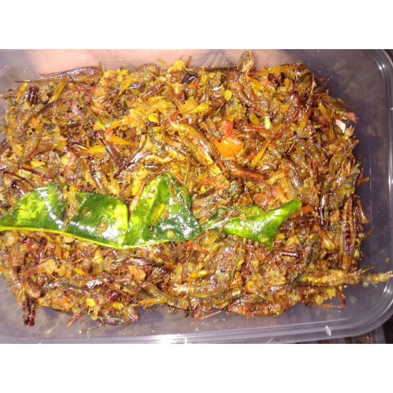 

belalang goreng 100 gram