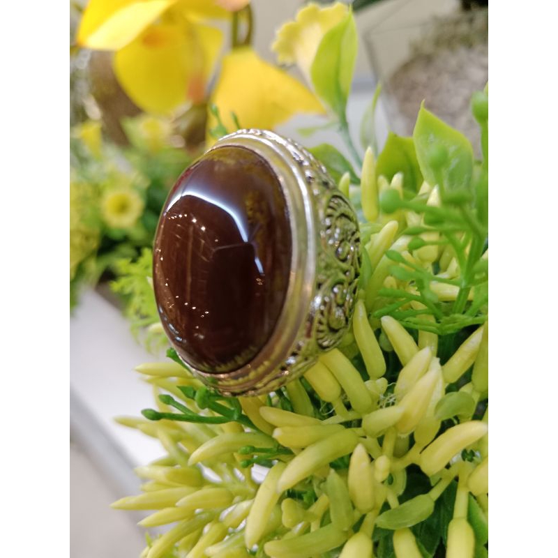 akik fosil galih asem