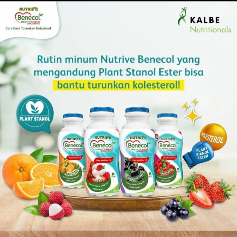 

benecol anti kolesterol botol 100ml