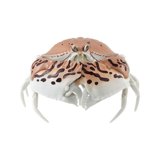 Calappa Dangomushi 06 Kani Crab Kepiting Bandai Gacha Gashapon Capsule Toy Complete Figure