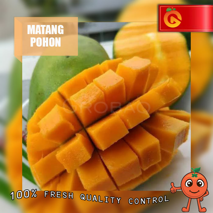 

BUAH MANGGA HARUM MANIS MATANG POHON FRESH 1 KG