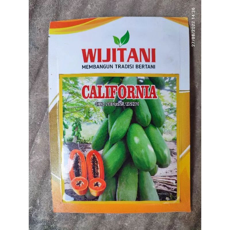 benih pepaya unggul CALIFORNIA WIJITANI