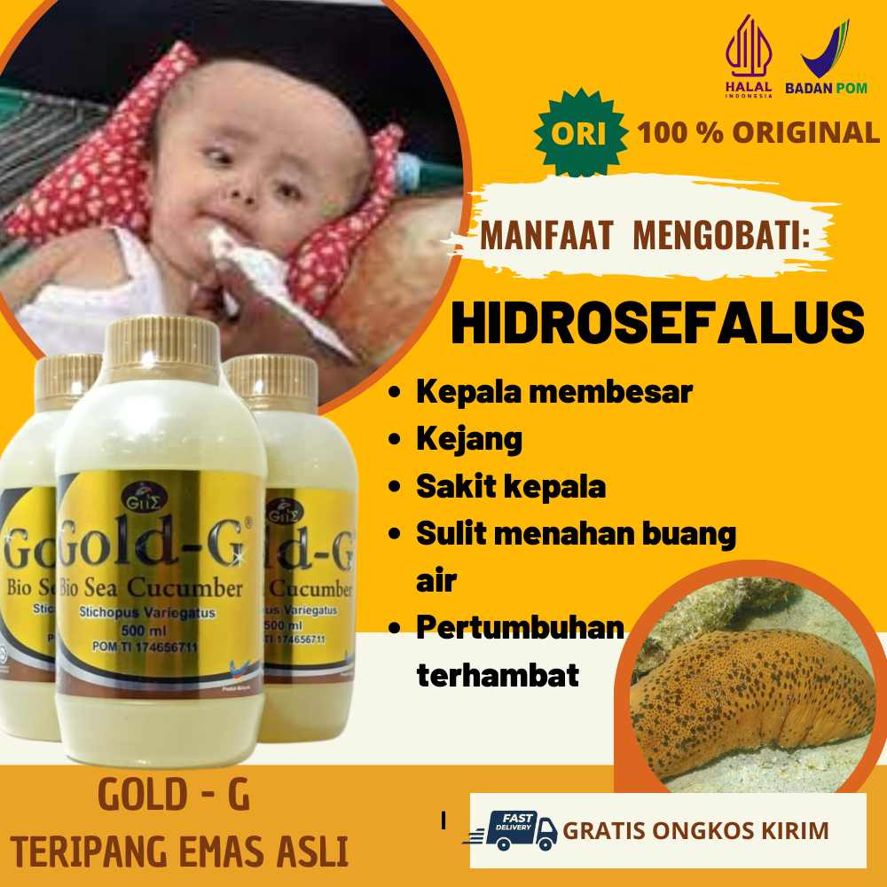 Gold-G Obat Herbal Hidrosefalus Pada Bayi Balita Anak Paling Mujarab