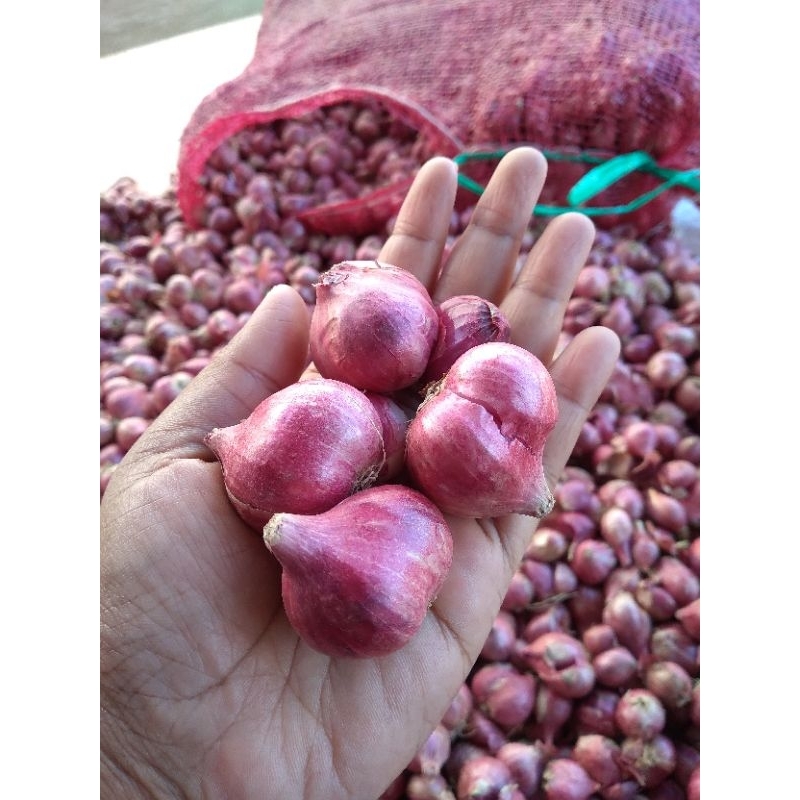 

Bawang Merah Super 1kg