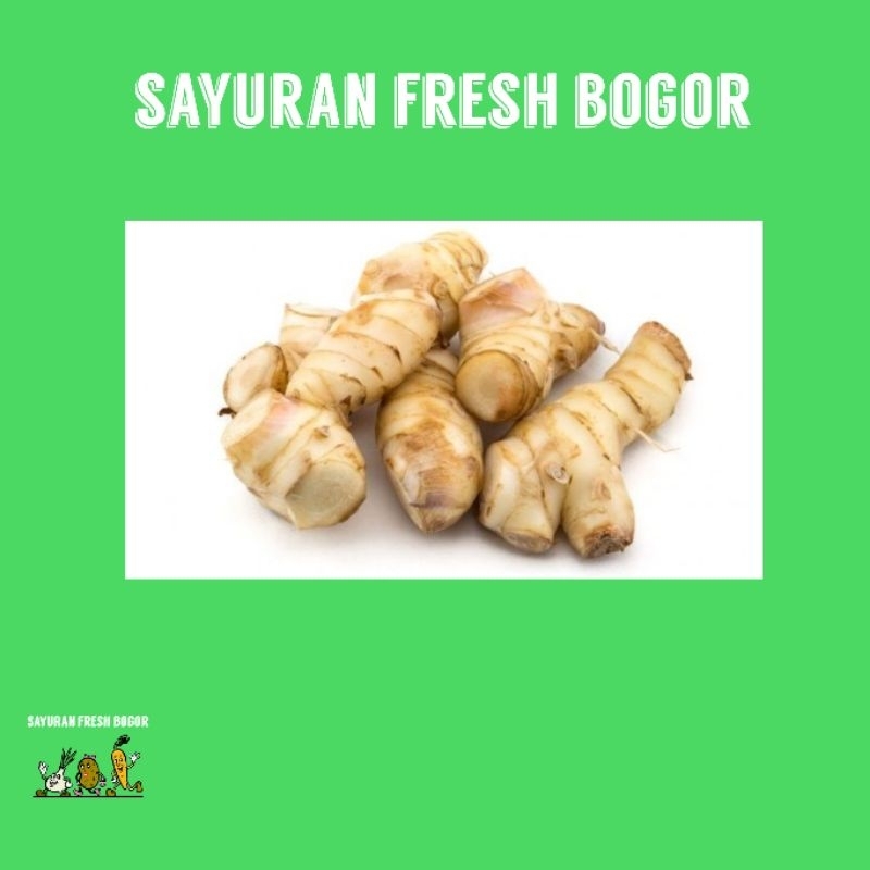 

Lengkoas ( 250 Gram ) | Sayuran Fresh Bogor