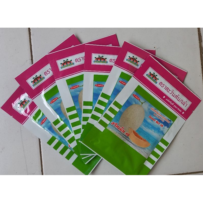 Benih Melon Sweet Net 9 F1