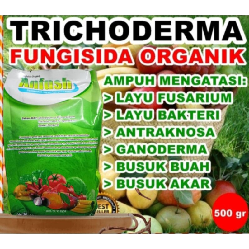 Anfush tricoderma