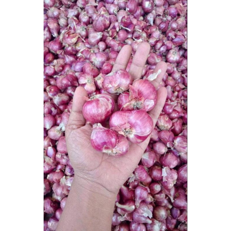

Bawang Merah