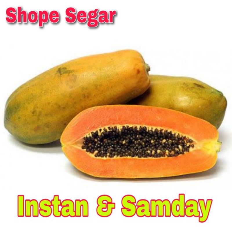 

Buah Pepaya California Paya 1 Buah