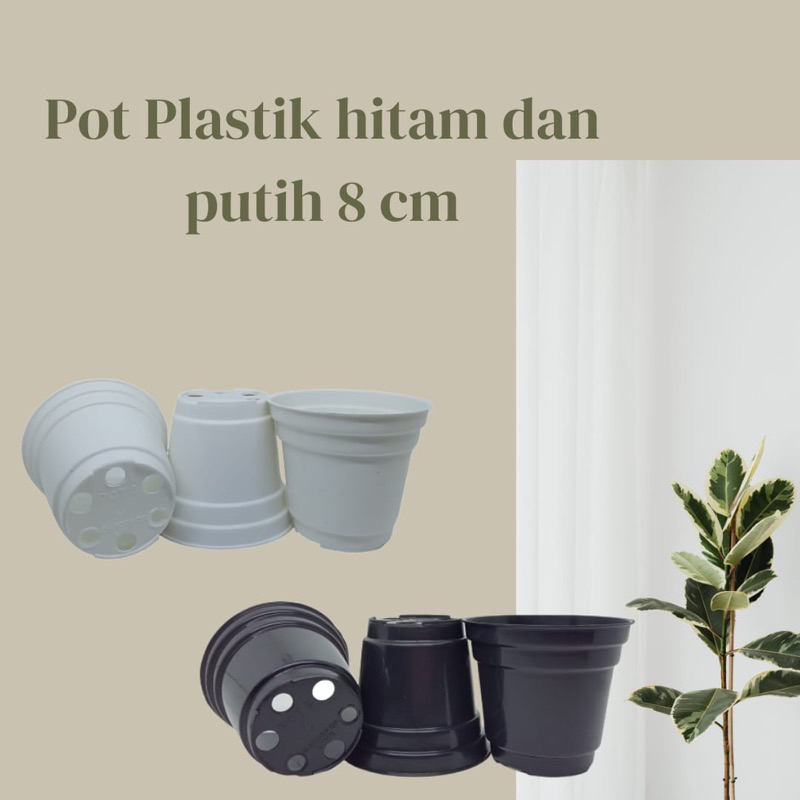 Pot Hitam dan Putih 8 Cm pot 8 Cm Hitam Putih Pot Bunga 8cm Plastik Kaktus Vas Bunga Kecil Hitam Pot Hidroponik Mini Pot Pot Mini Tanaman