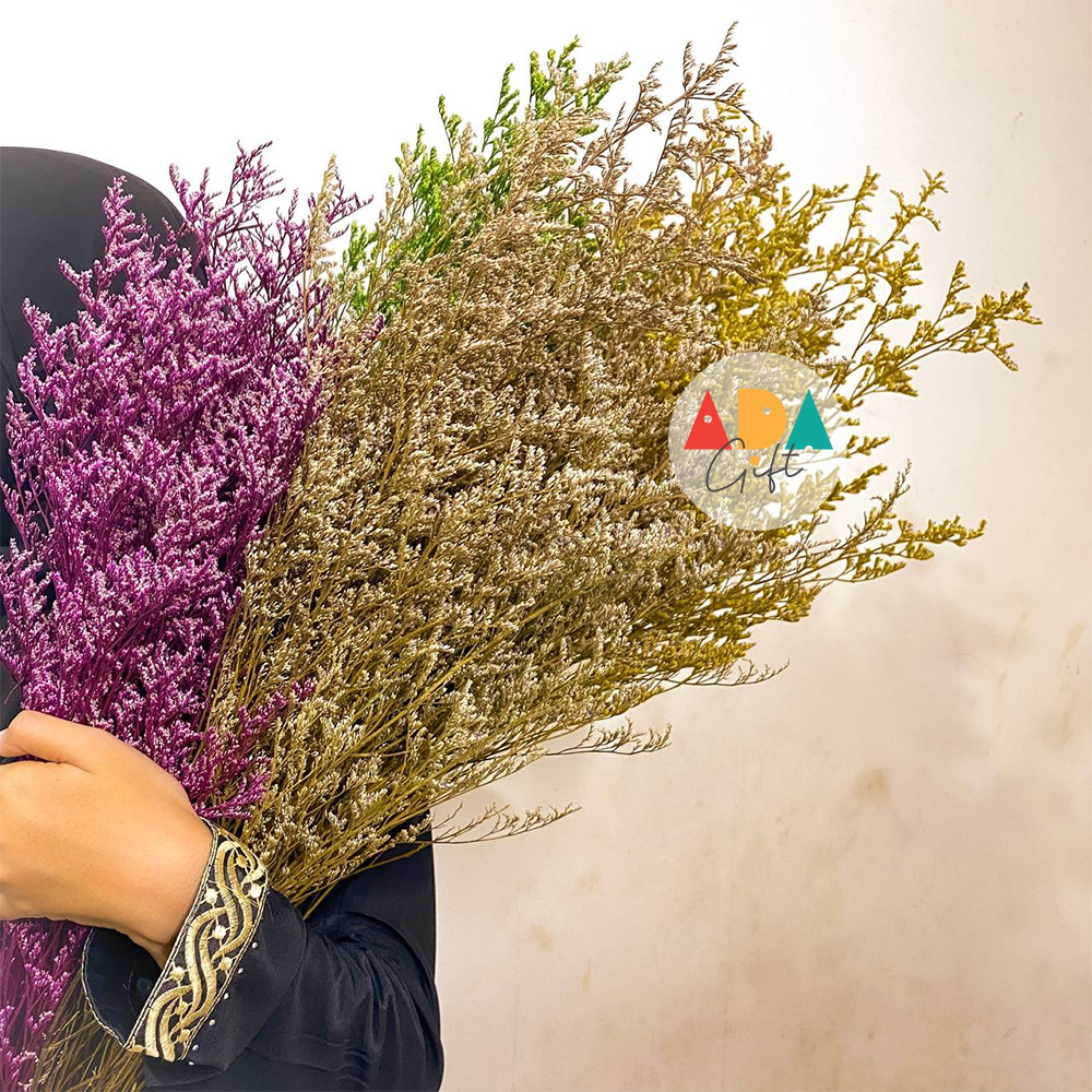 TERMURAH | Limonium Caspea | Lovergrass | Bunga Kering | Dried Flower | Preserved Flower | Premium Quality | Import Quality