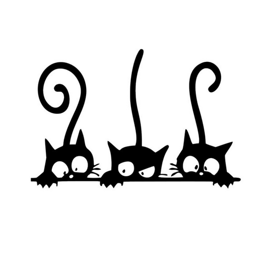 stiker mobil motor  kucing lucu cutting sticker kucing