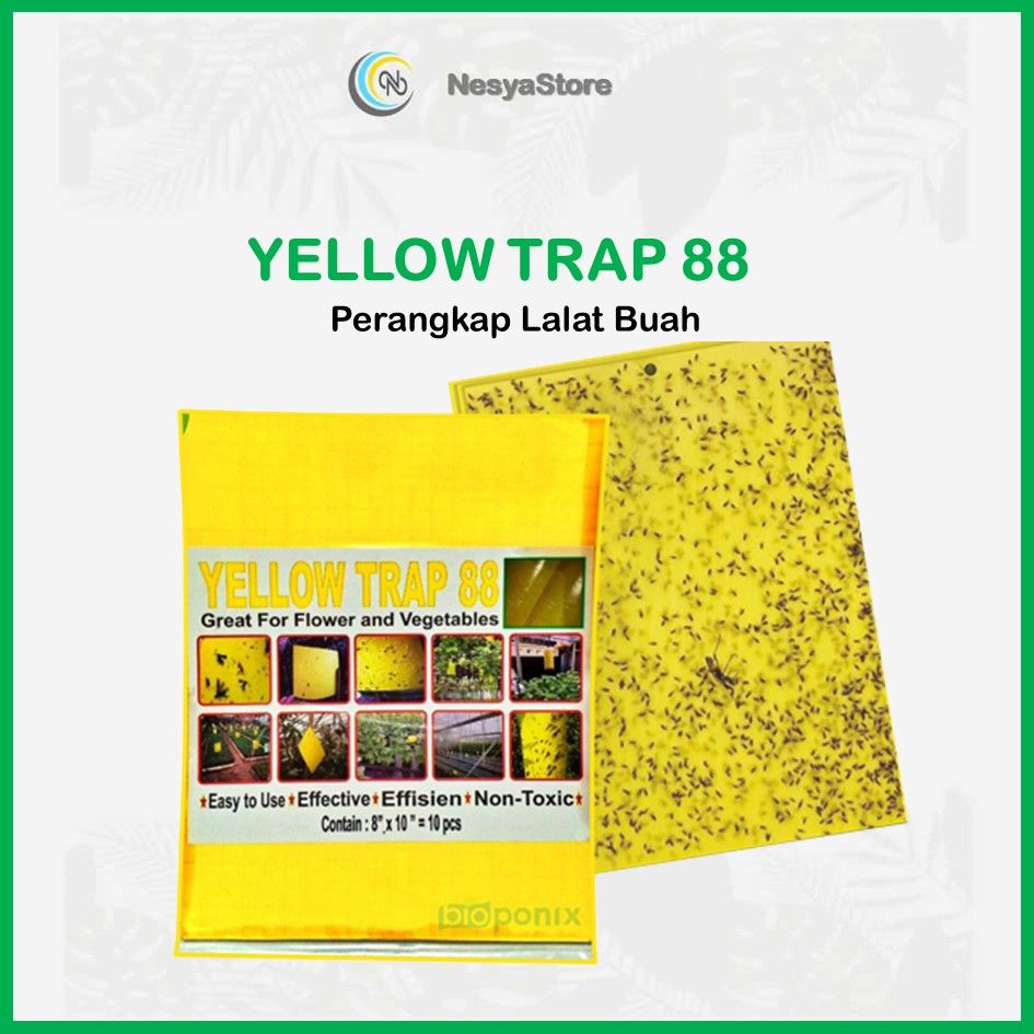 Yellow Trap Perangkap Lalat Buah Perangkap Hama Tanaman Ampuh