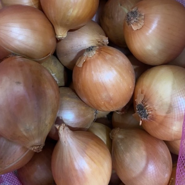 

Bawang Bombai Bombay 200gram